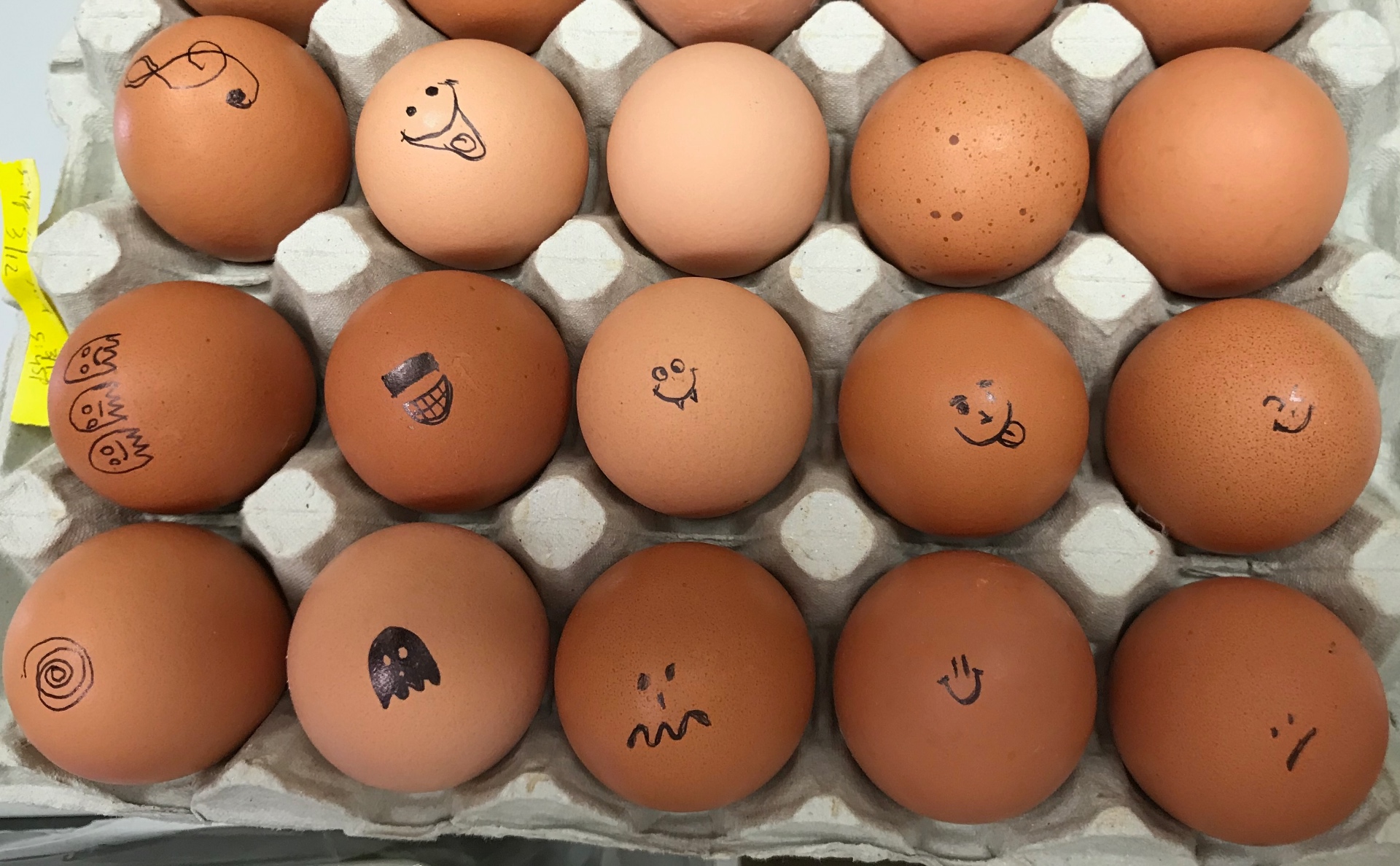 Chicken eggs in a tray, decorated with hand-drawn faces by the Williams Lab
